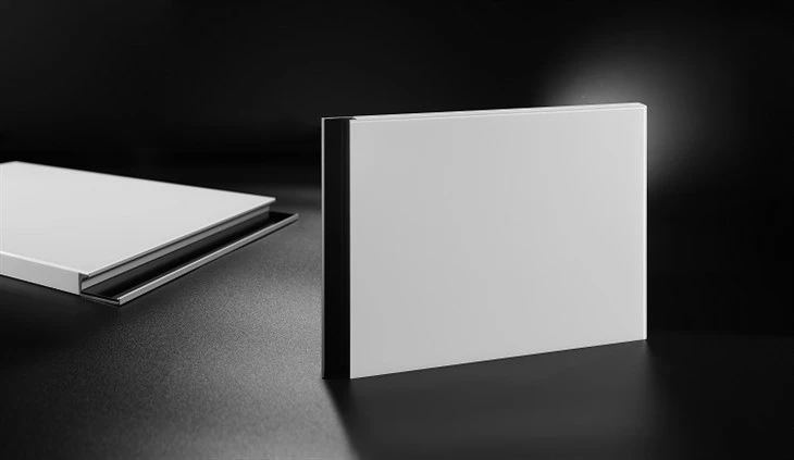Rimless Matte 2mm Glass Front Cabinet Door (3)